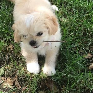 Meet your Posher, Matt